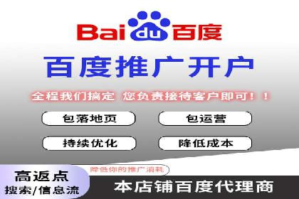 电商平台信息流广告的创意与优化：成功案例分析